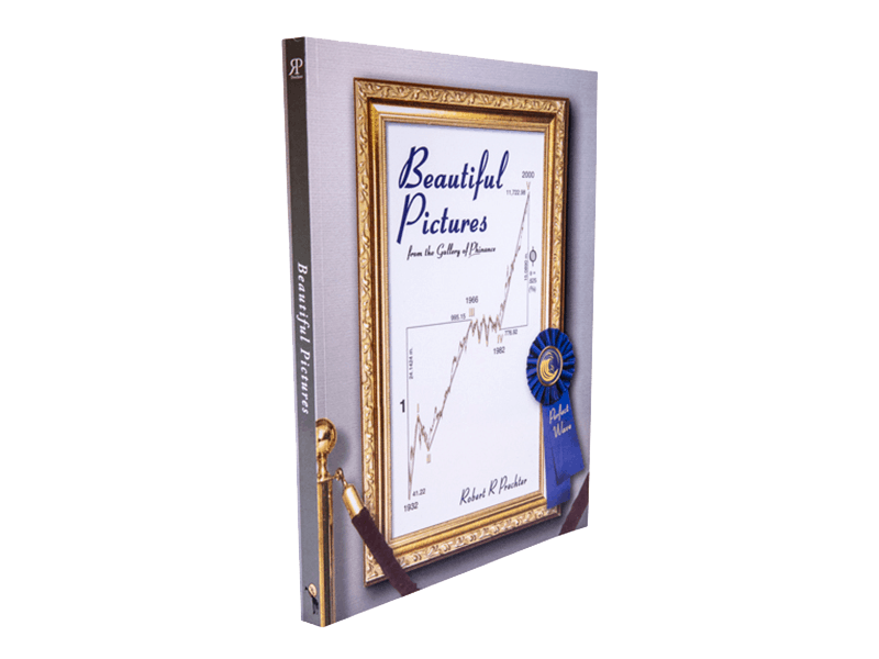 Beautiful Pictures From the Gallery of Phinance