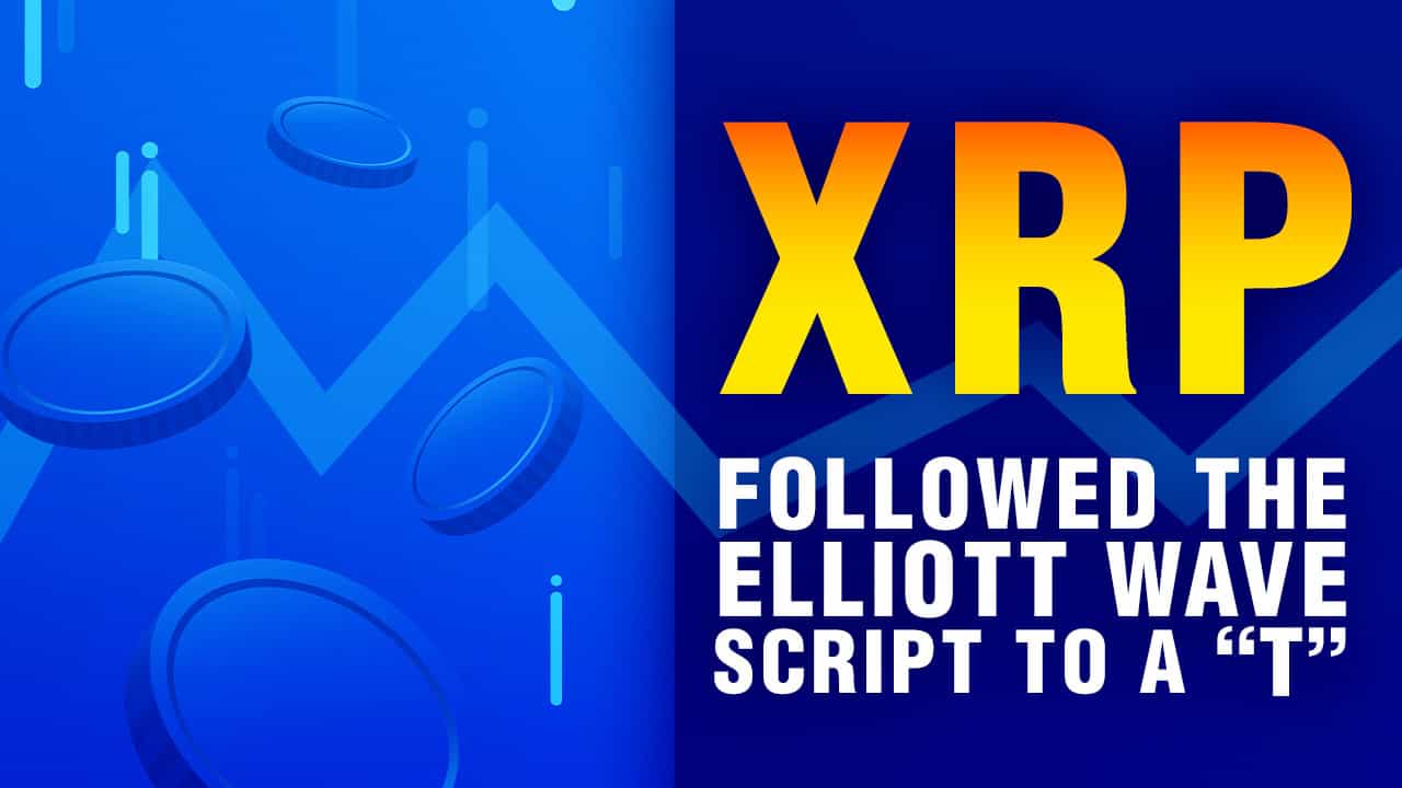 XRP: We Alerted Crypto Subscribers to a Reversal & Major Rally to Follow