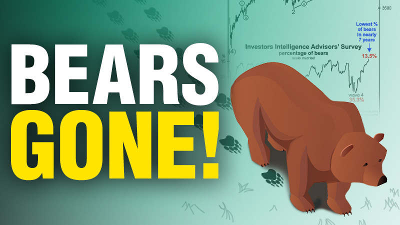 Where Have All the Bears Gone? 