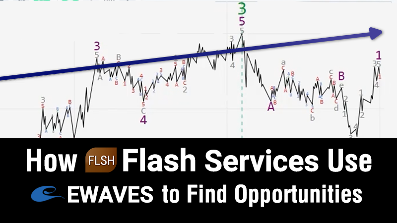 How Flash Services Use EWAVES to Find Opportunities