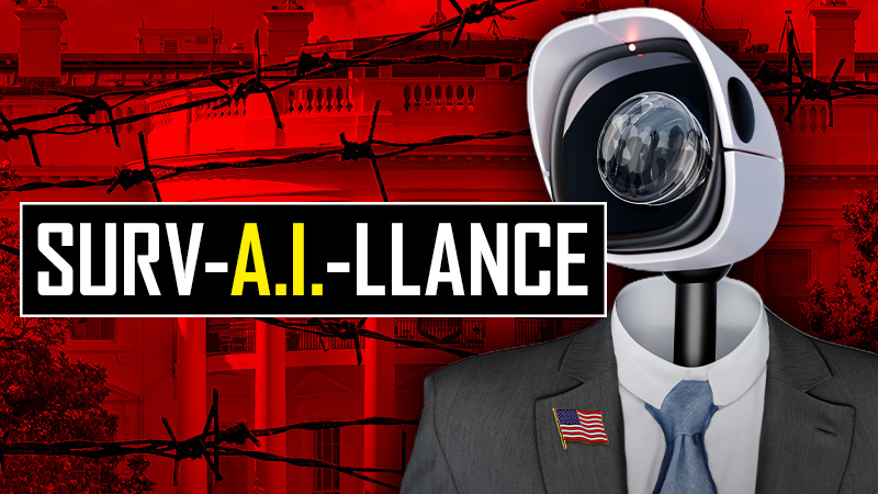 Government-Sanctioned Domestic Surveillance: Check