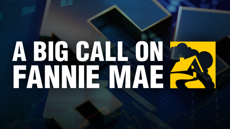 The Long-Term Decline of Fannie Mae