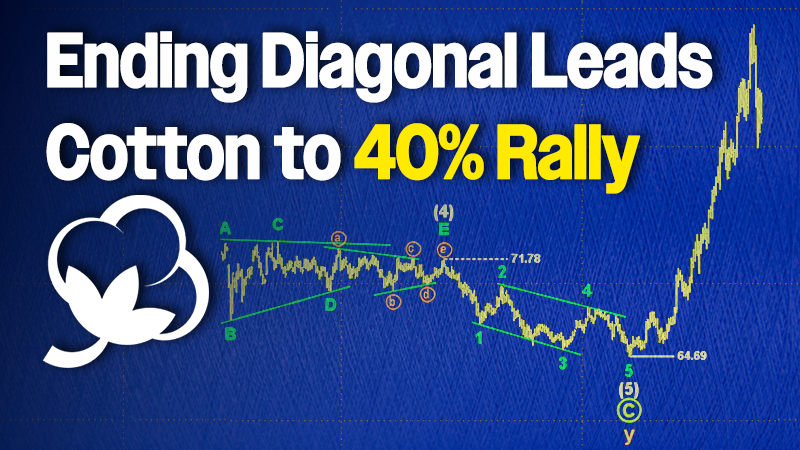 Ending Diagonal Leads to 40% Rally