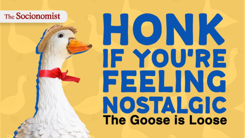 Drugs, Geese & Livin’ Alone 