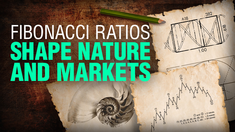 Fibonacci Ratios Don’t Just Shape Nature – They Shape Markets Too